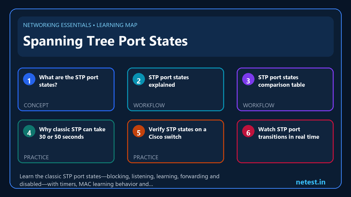 Spanning Tree Port States learning map