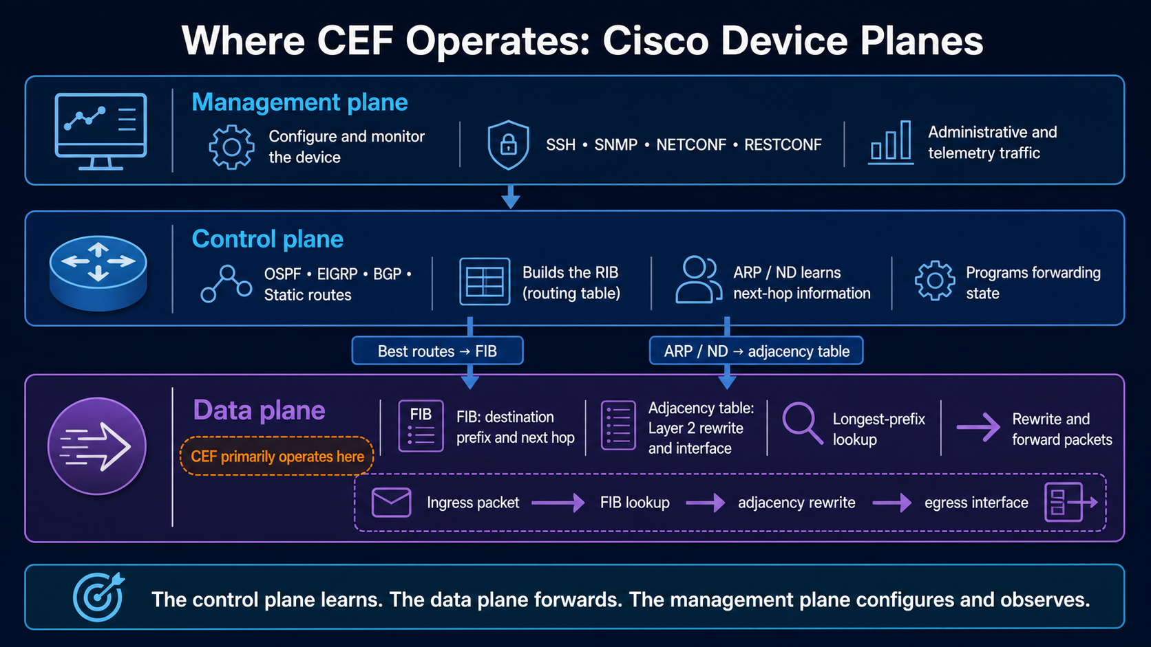 Cisco router architecture diagram showing the management plane configuring the device, the control plane building the RIB and neighbor information, and CEF using the FIB and adjacency table in the data plane