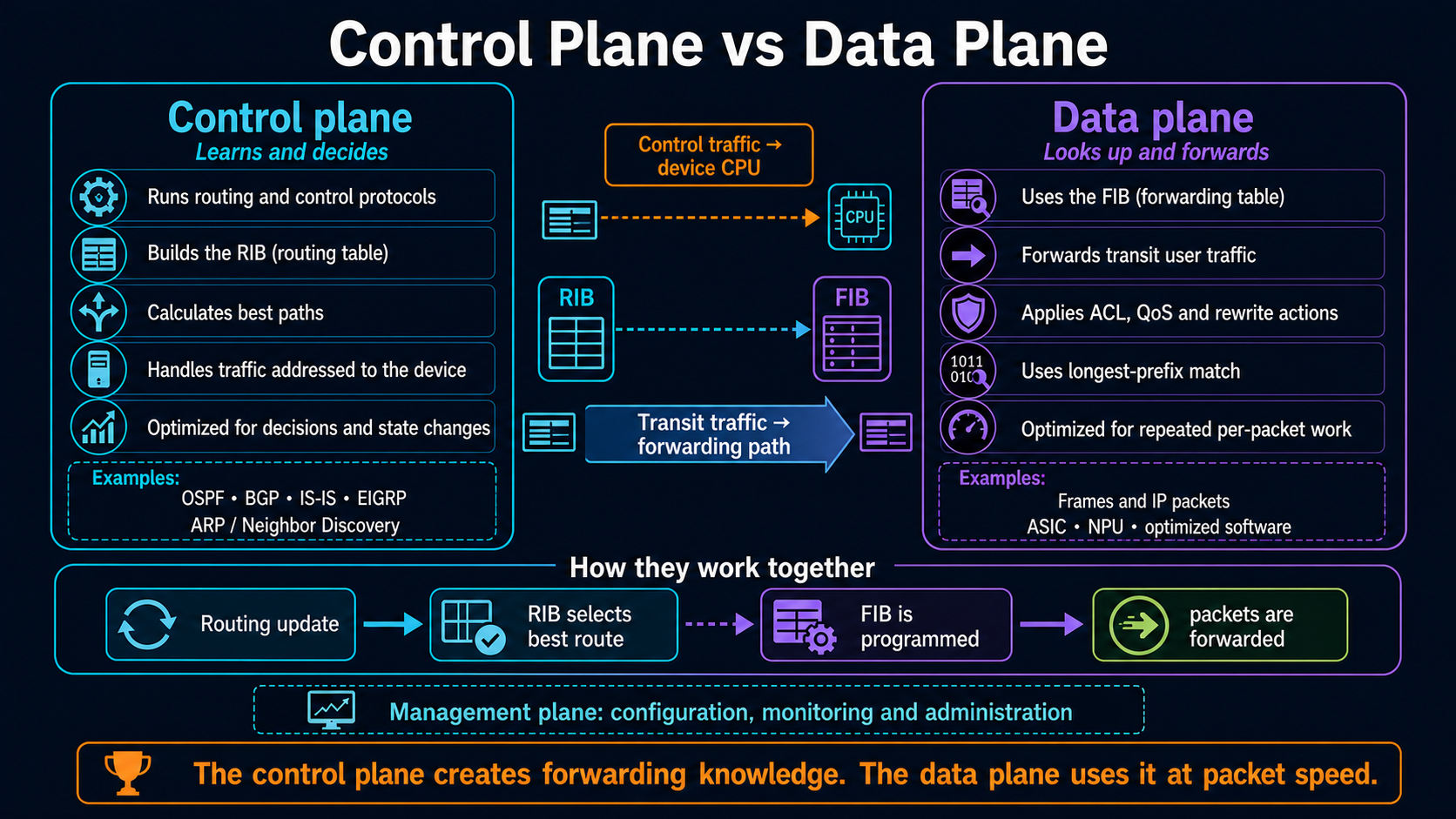 Control plane versus data plane infographic comparing protocols, RIB, FIB, CPU-bound control traffic, transit packet forwarding and the management plane
